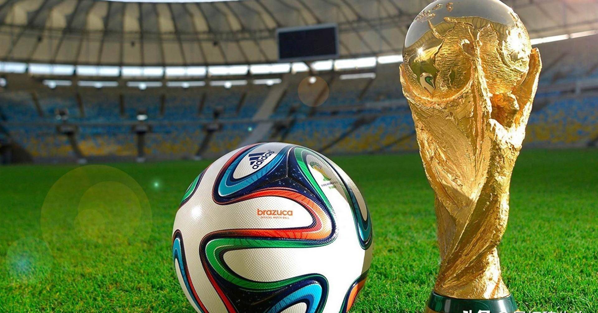 这次的主角 这次的主角