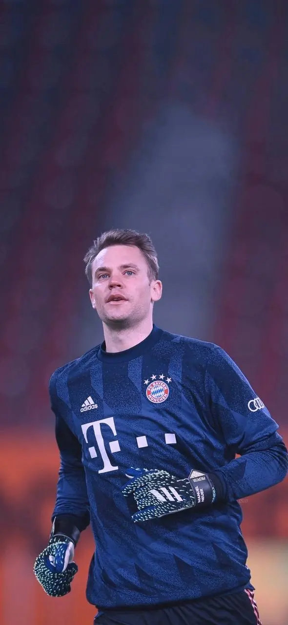 在世界羽毛 在世界羽毛